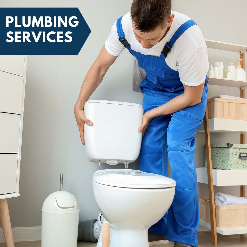 Plumbing Company in Wapello, IA